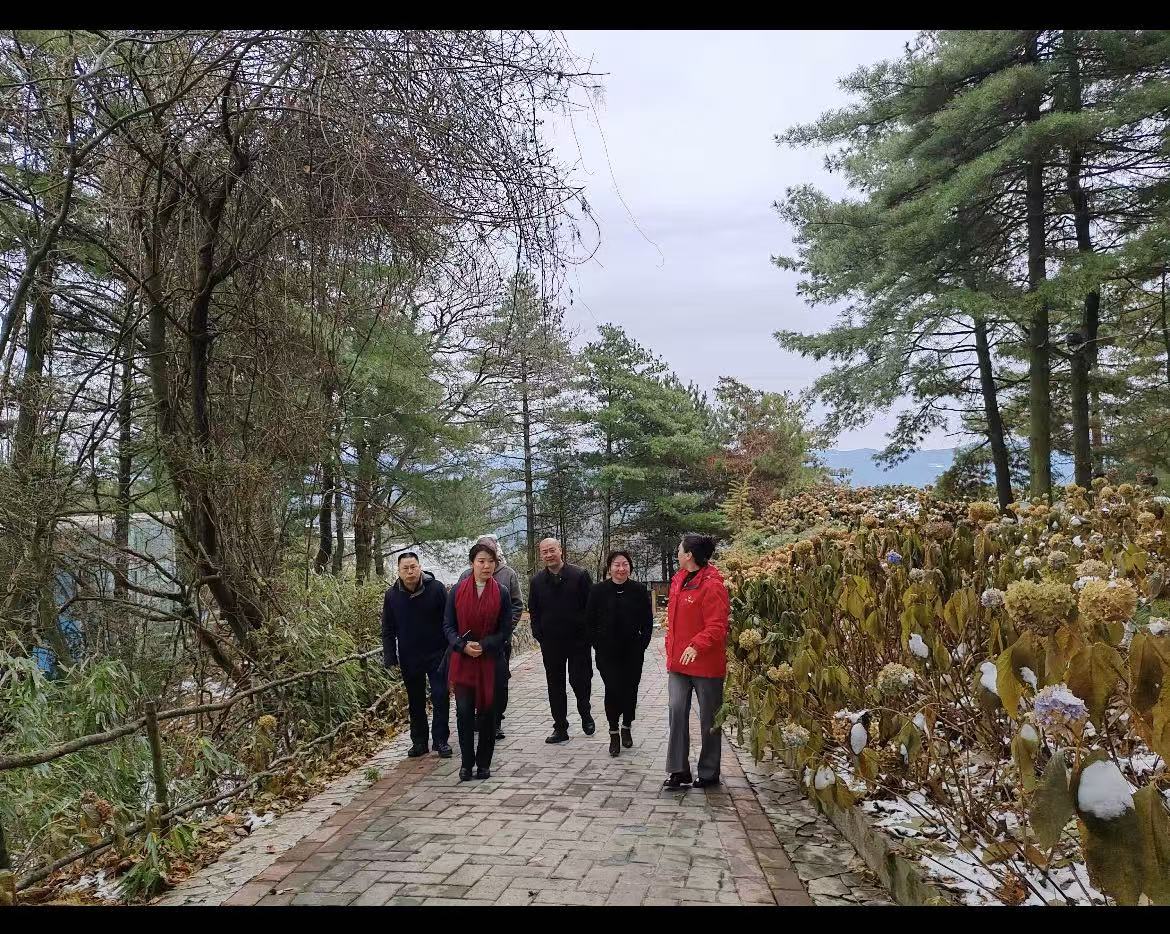 今日四川肆季文旅集团：广元市人民政府副市长（提名）格日乐，在朝天区政协党组书记、主席薛长勋等陪同下，调研文旅产业天府旅游名宿云顶美宿运营情况。