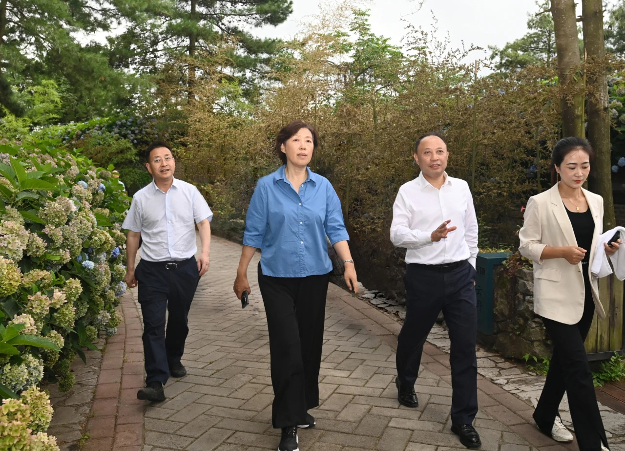 省政协主席田向利在广元曾家镇“云顶美宿”调研